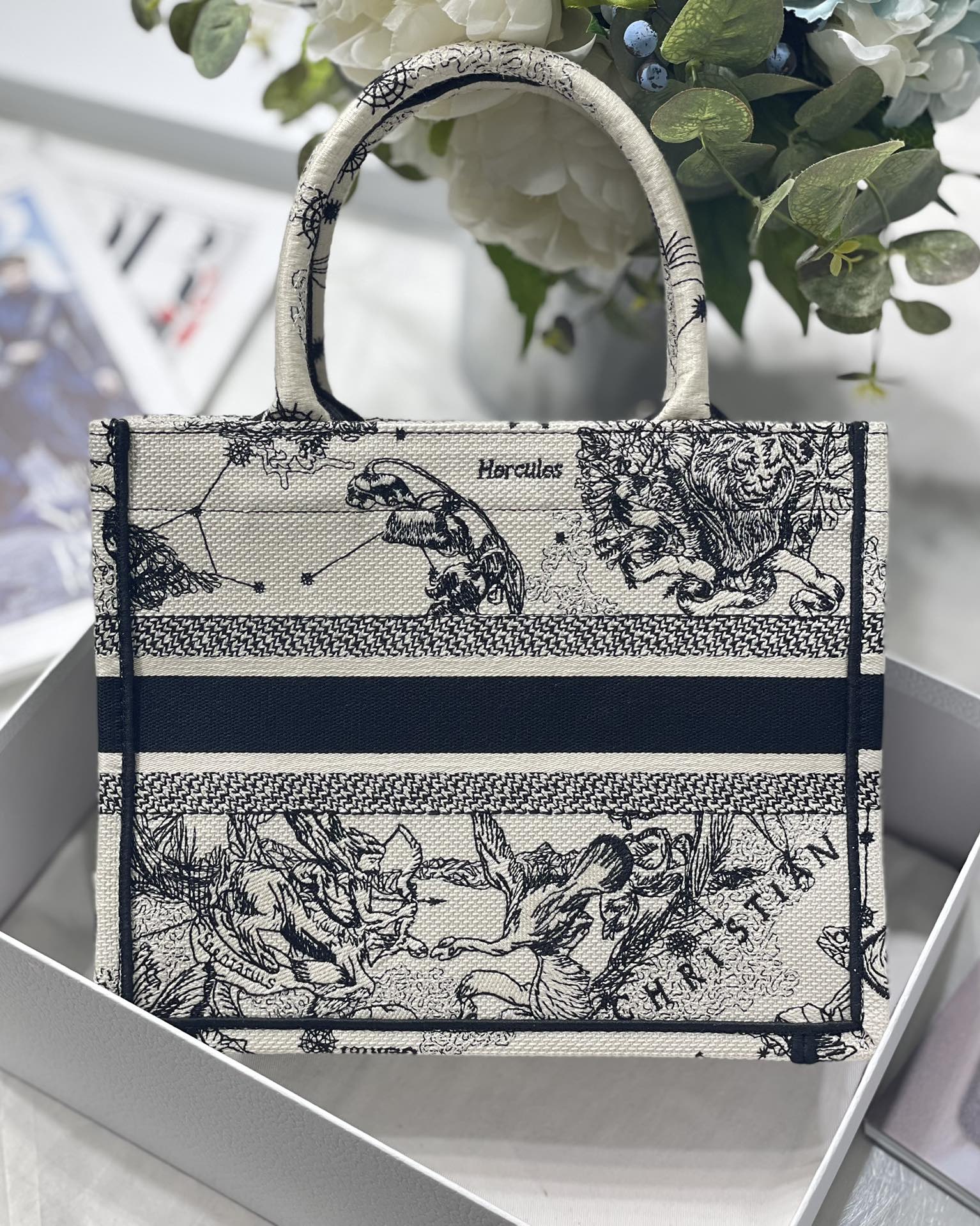 Small Dior Book Tote Bag Latte and Black Toile de Jouy Zodiac Embroidery